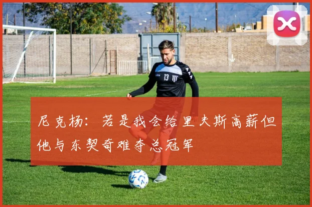 尼克杨：若是我会给里夫斯高薪但他与东契奇难夺总冠军