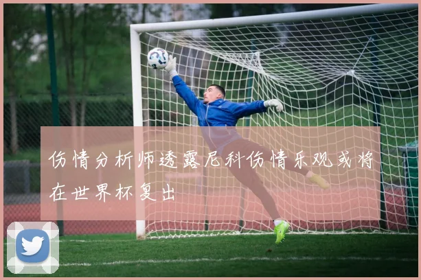 伤情分析师透露尼科伤情乐观或将在世界杯复出