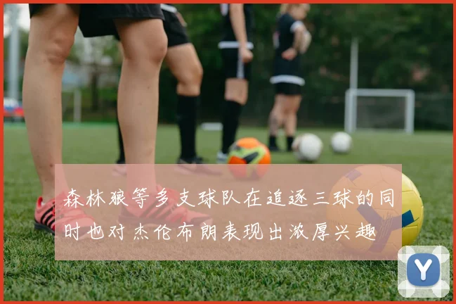 森林狼等多支球队在追逐三球的同时也对杰伦布朗表现出浓厚兴趣